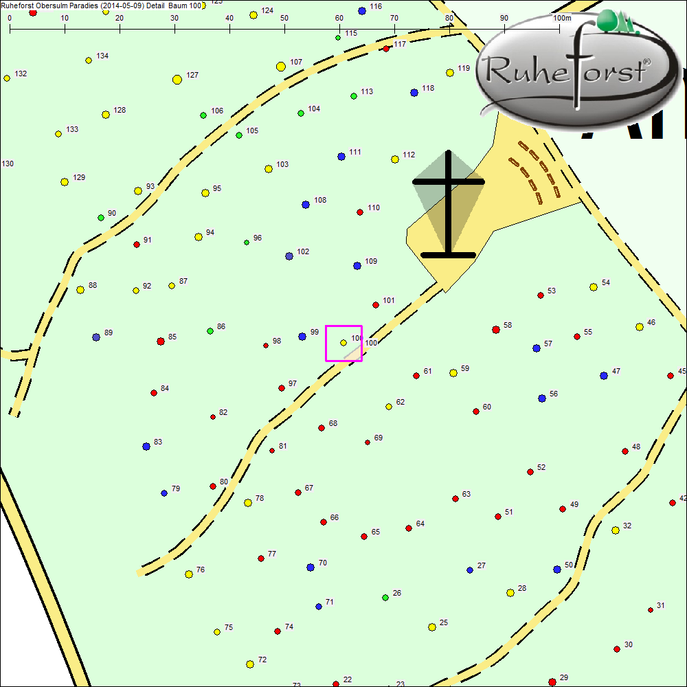 Detailkarte zu Baum 100