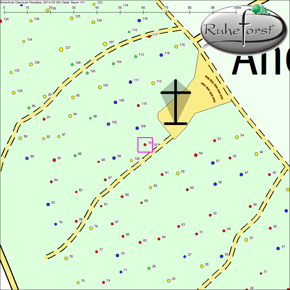 Detailkarte zu Baum 101