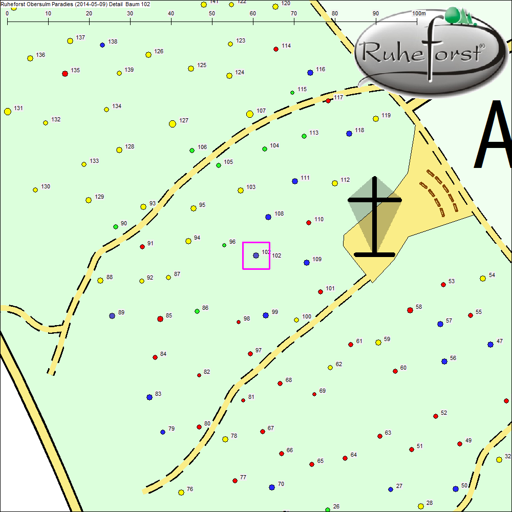 Detailkarte zu Baum 102