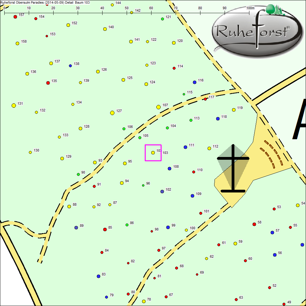 Detailkarte zu Baum 103