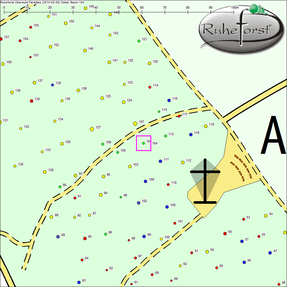 Detailkarte zu Baum 104