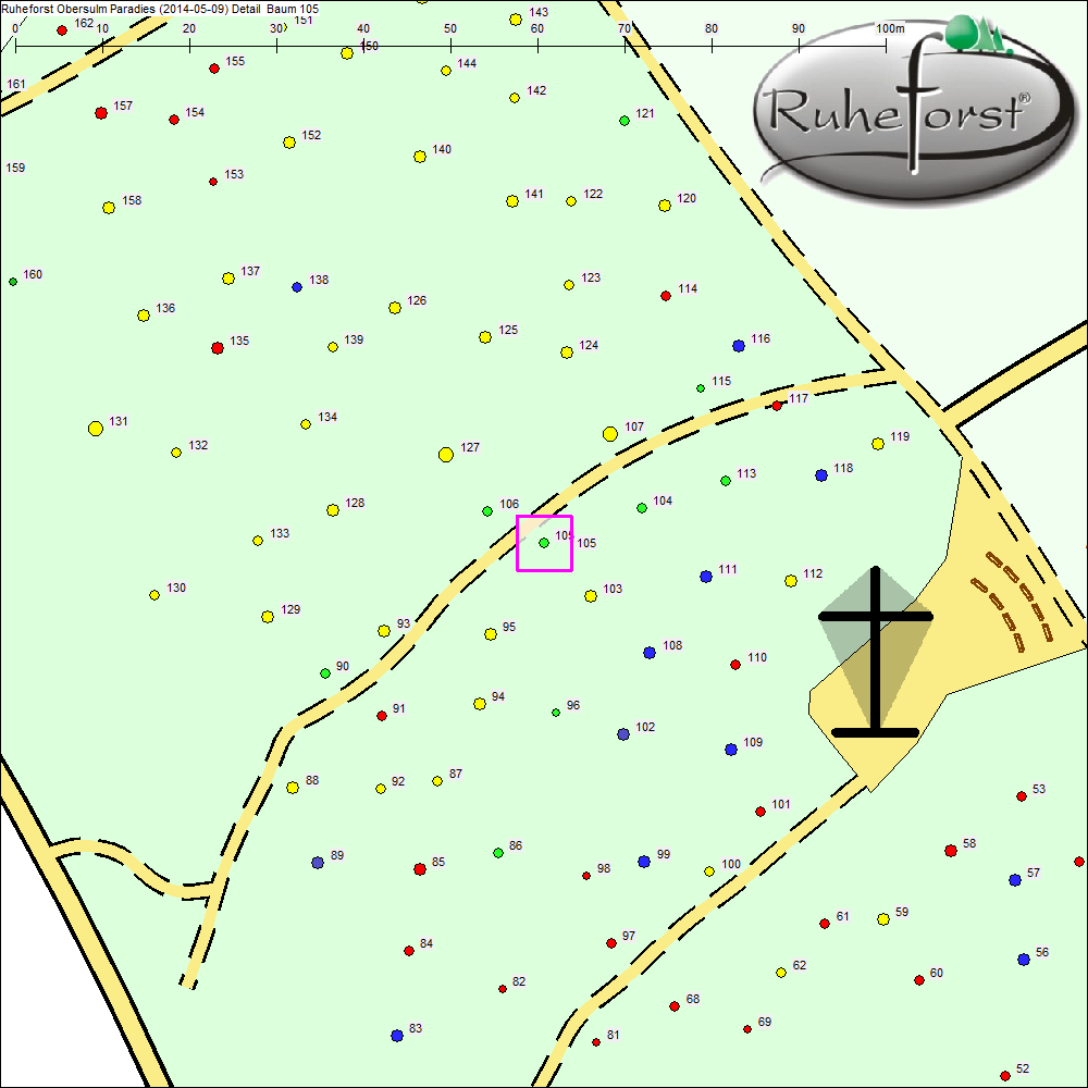 Detailkarte zu Baum 105