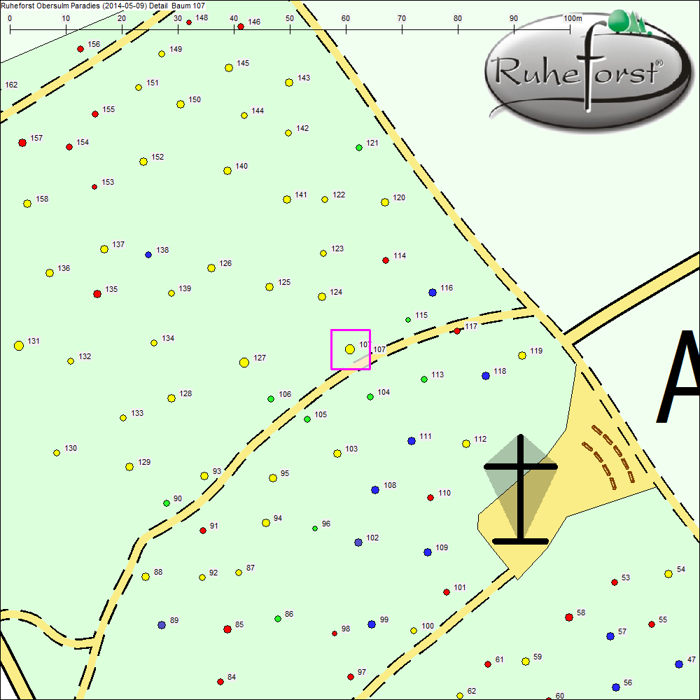 Detailkarte zu Baum 107