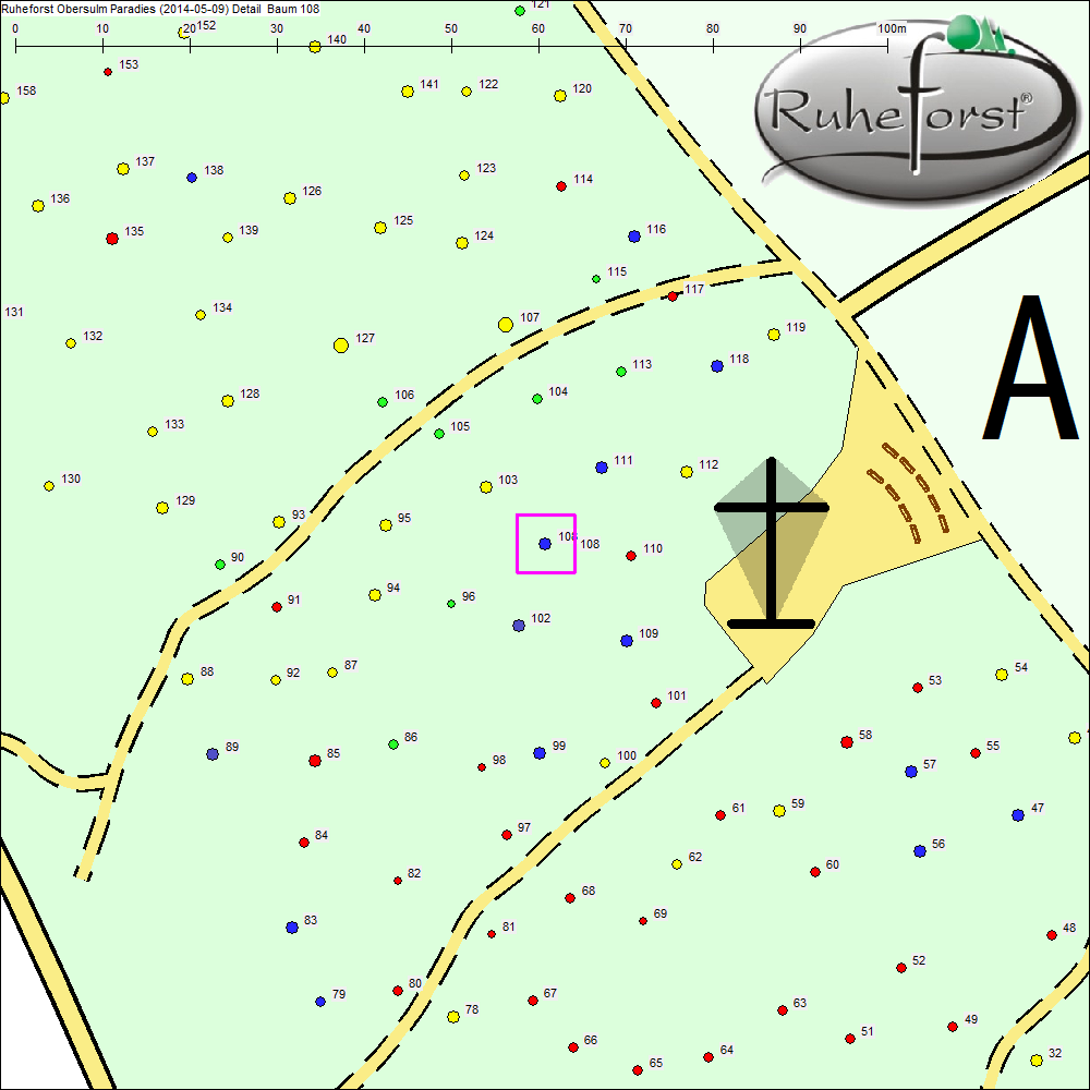 Detailkarte zu Baum 108