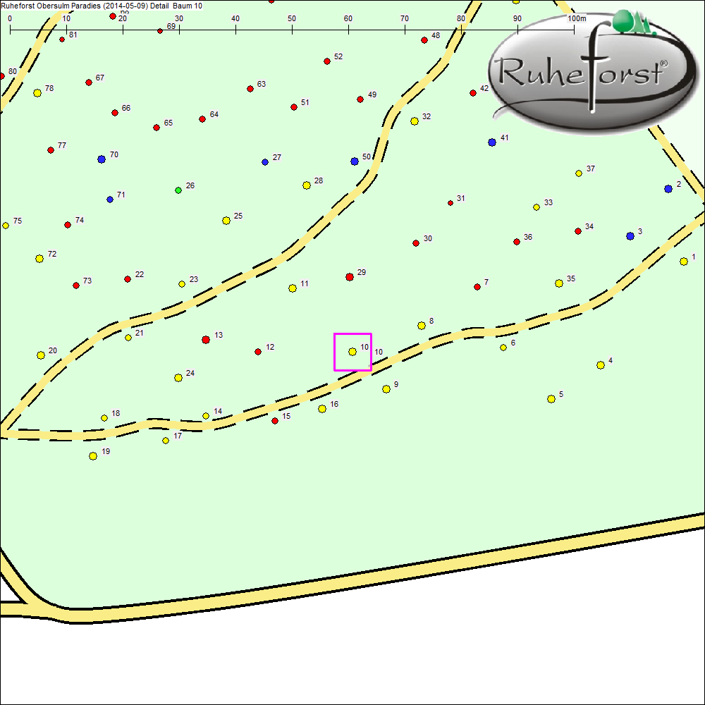 Detailkarte zu Baum 10