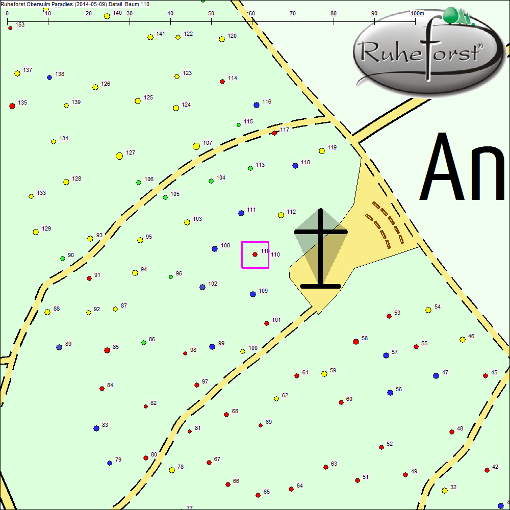 Detailkarte zu Baum 110