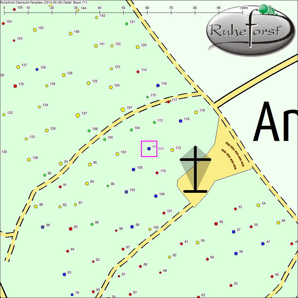 Detailkarte zu Baum 111