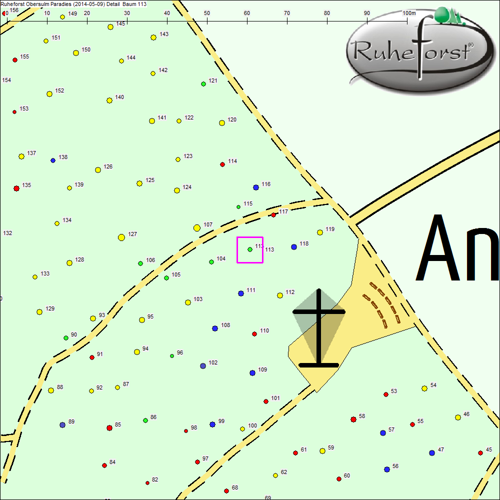 Detailkarte zu Baum 113