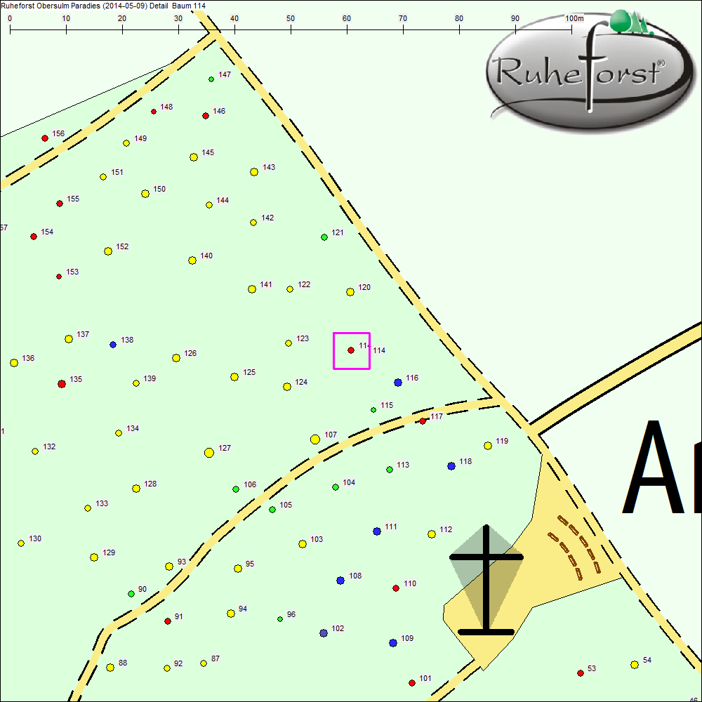 Detailkarte zu Baum 114