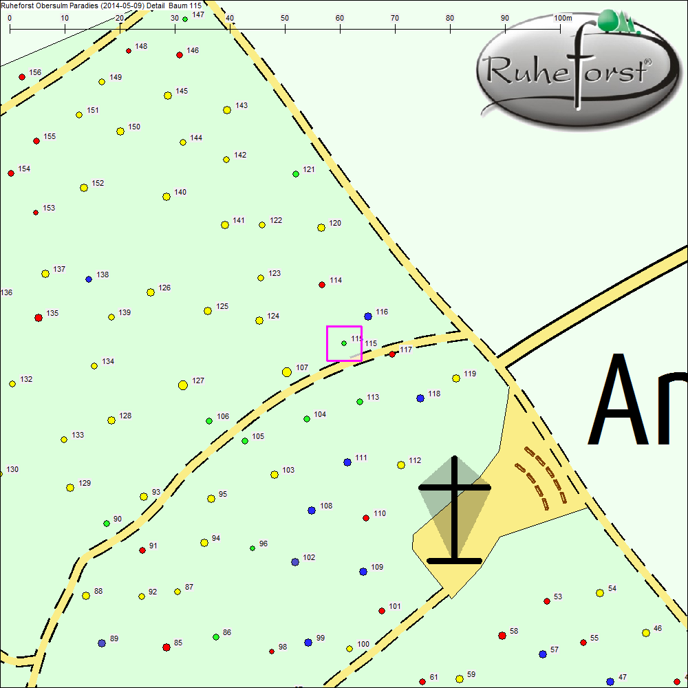 Detailkarte zu Baum 115