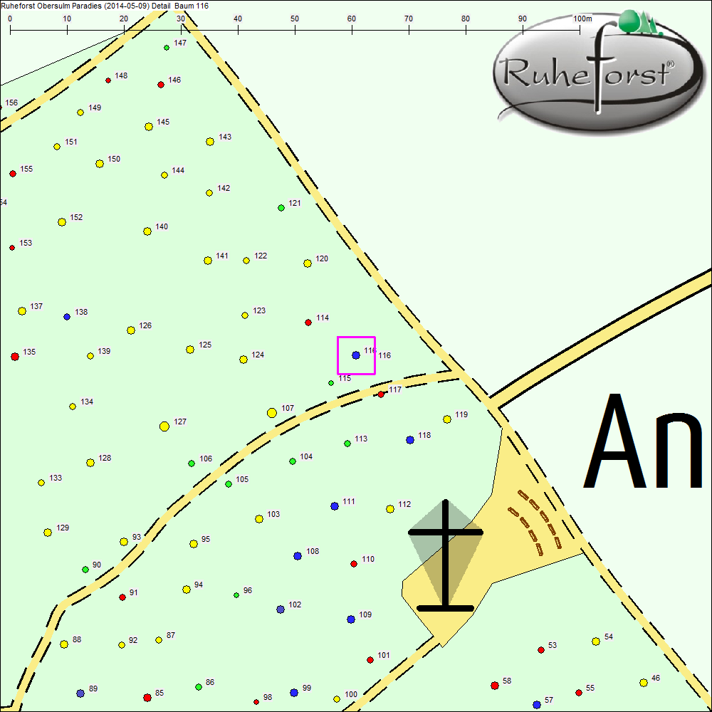 Detailkarte zu Baum 116
