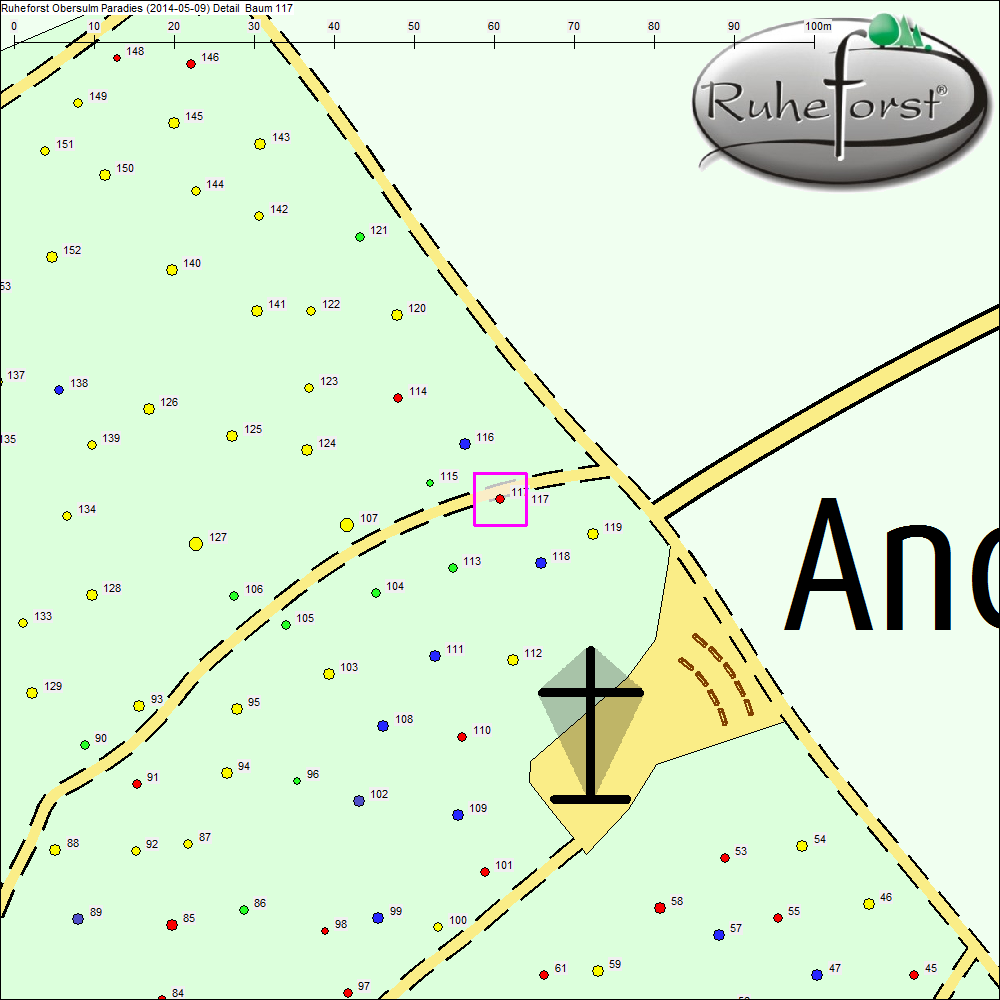 Detailkarte zu Baum 117