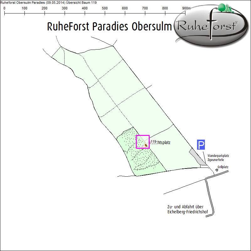 &Uuml;bersichtskarte zu Baum 119