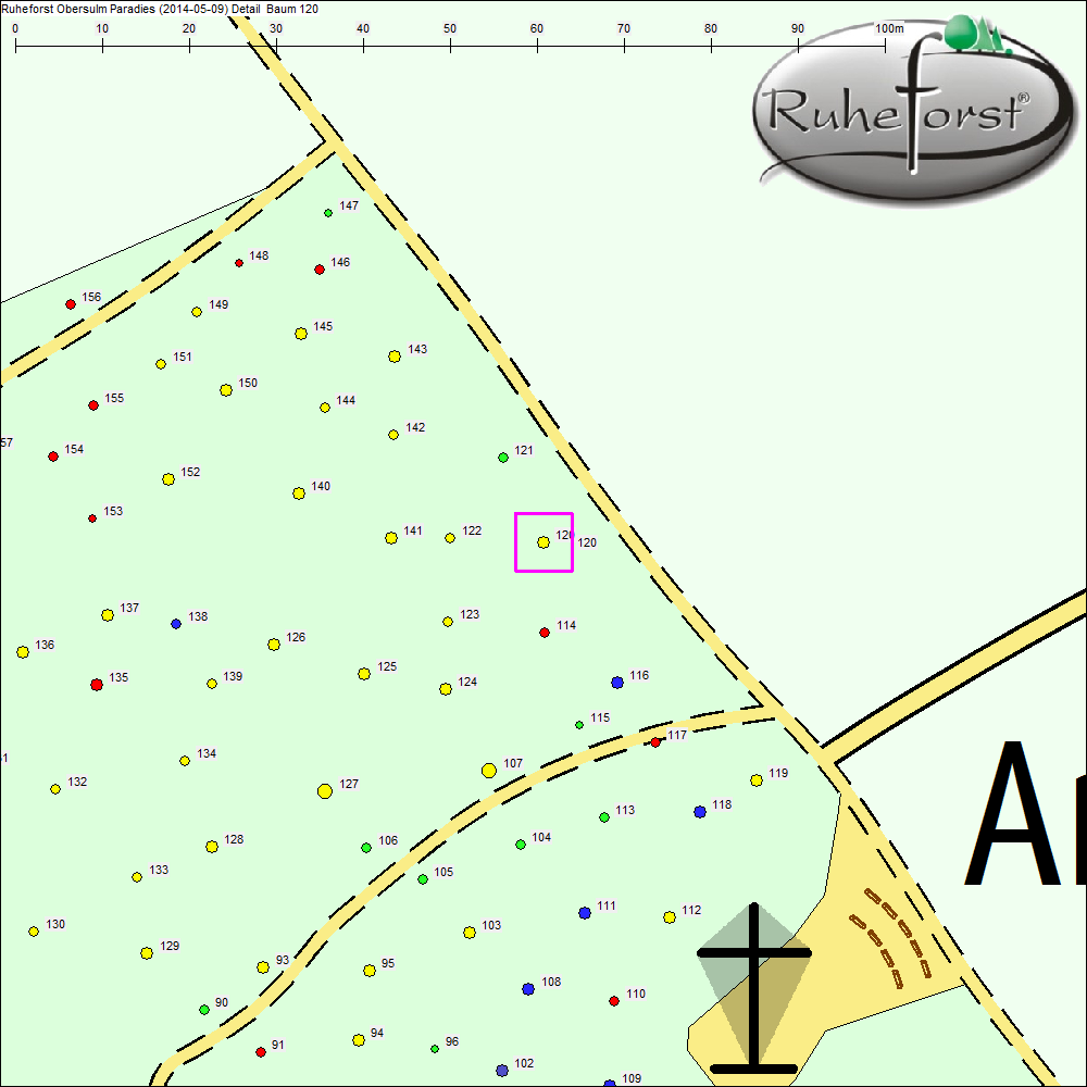 Detailkarte zu Baum 120
