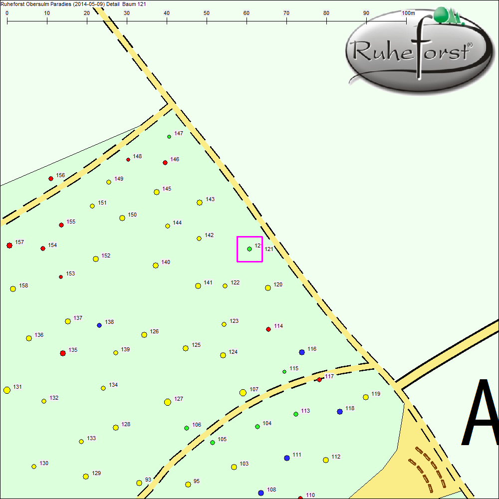 Detailkarte zu Baum 121