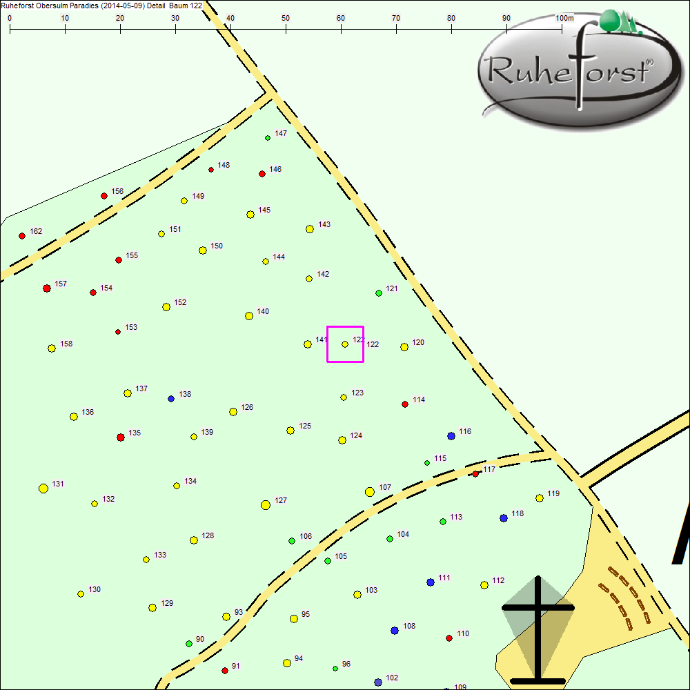 Detailkarte zu Baum 122