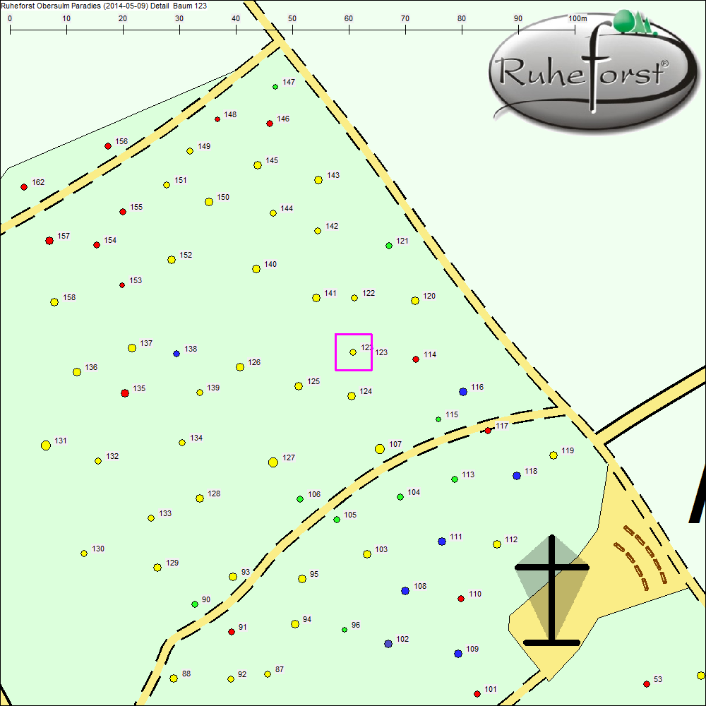 Detailkarte zu Baum 123