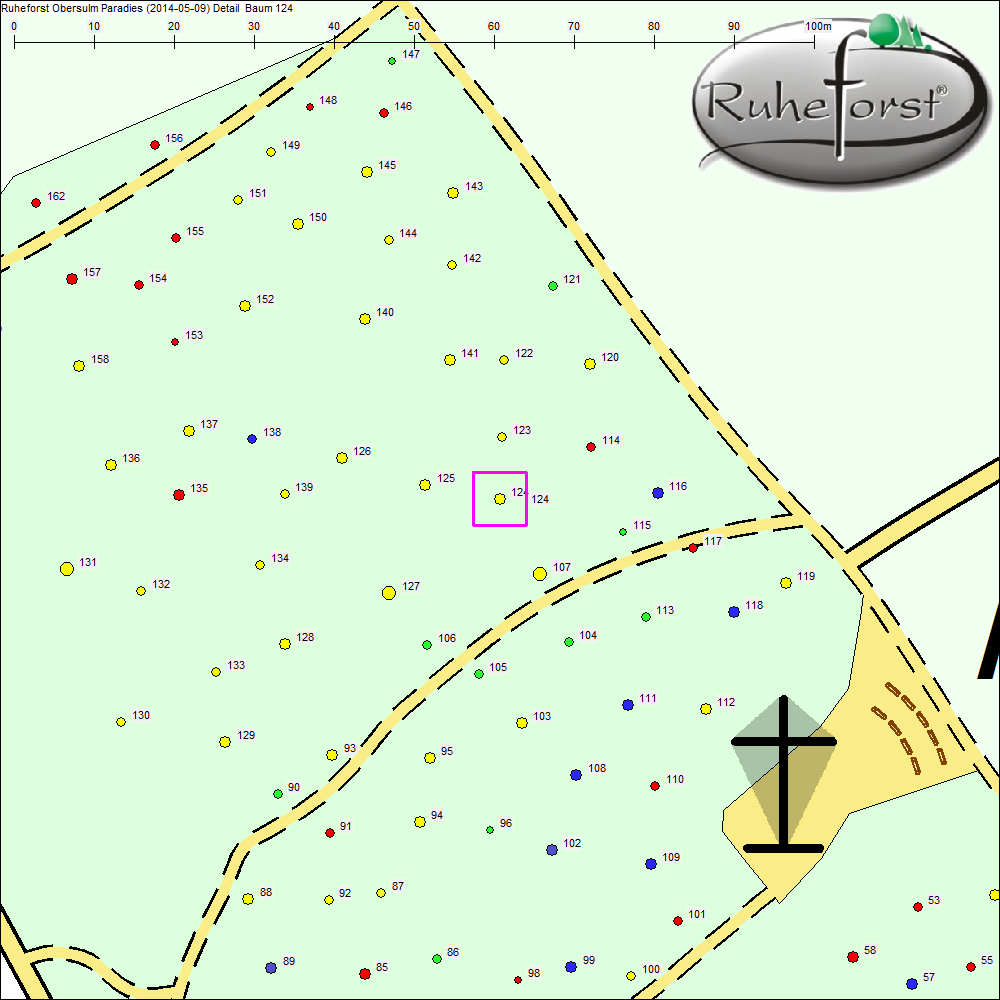 Detailkarte zu Baum 124