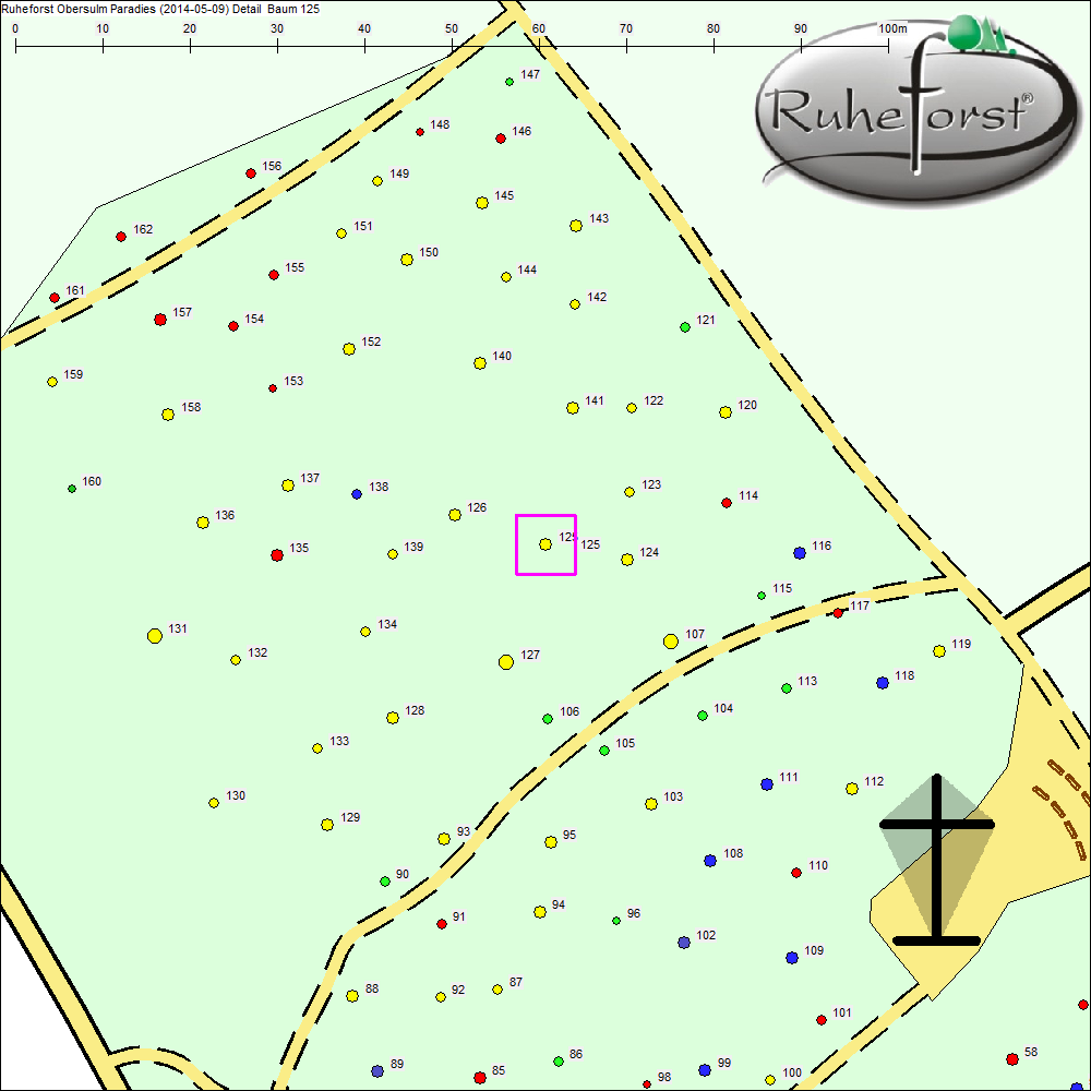Detailkarte zu Baum 125