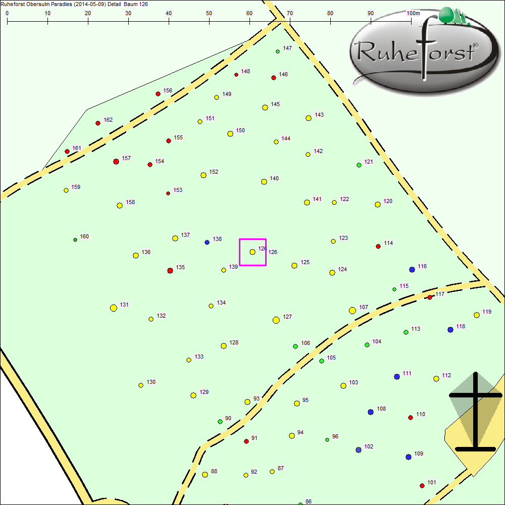 Detailkarte zu Baum 126