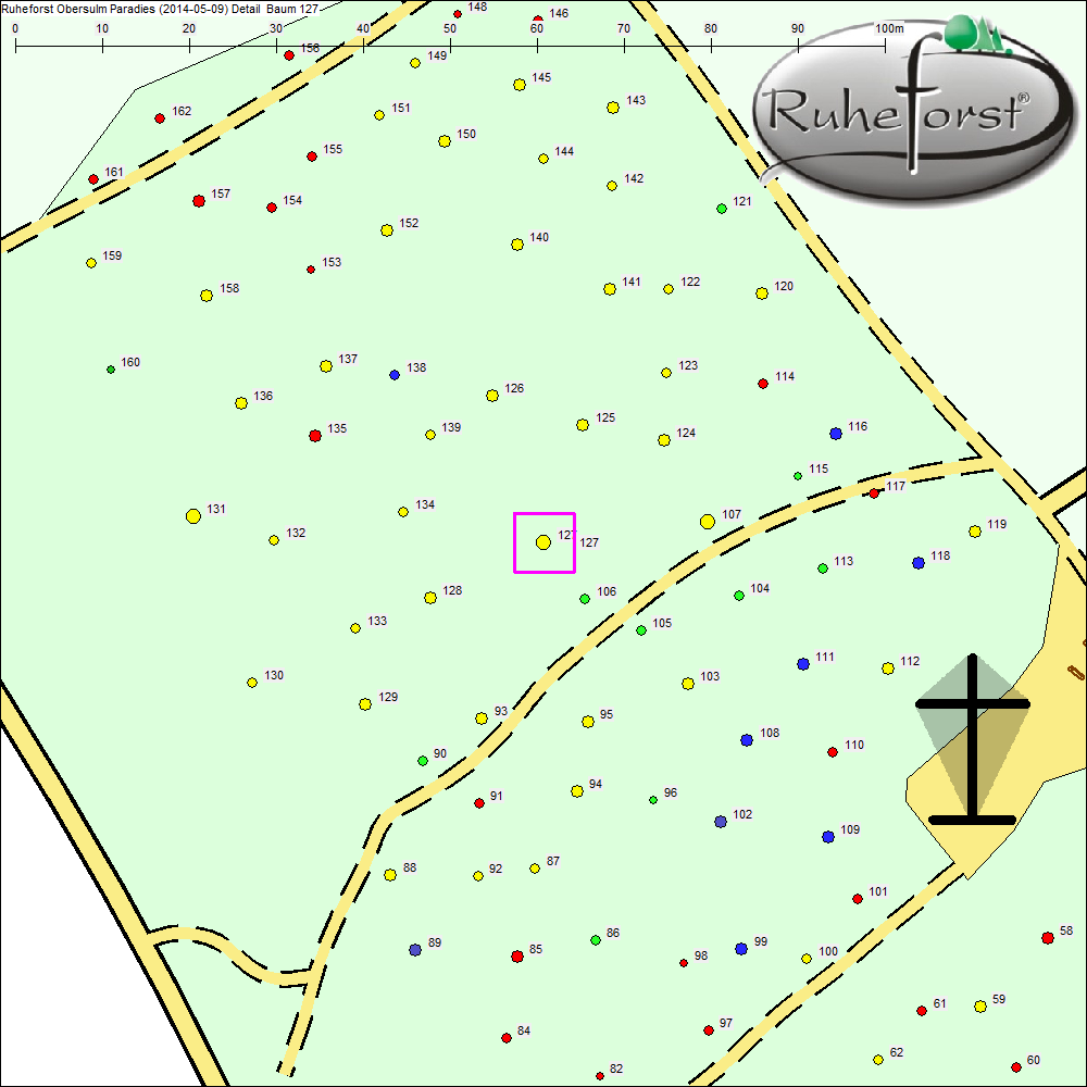 Detailkarte zu Baum 127