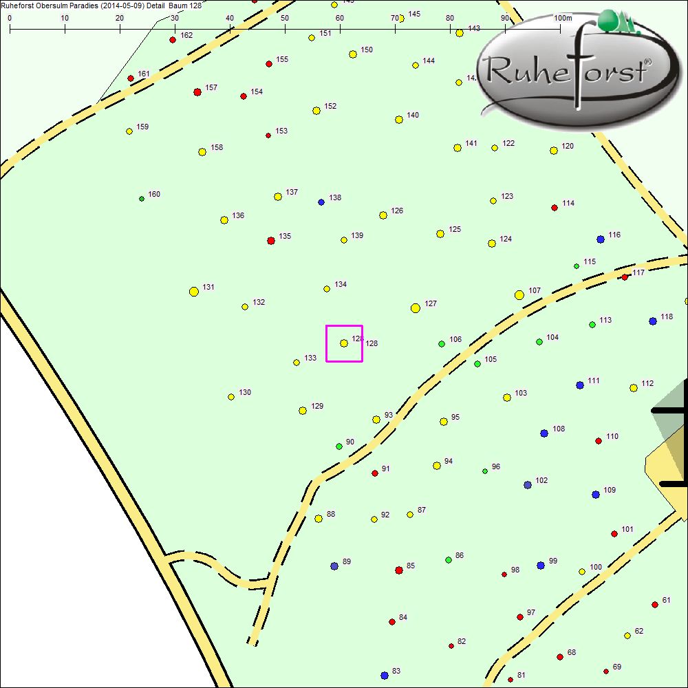 Detailkarte zu Baum 128
