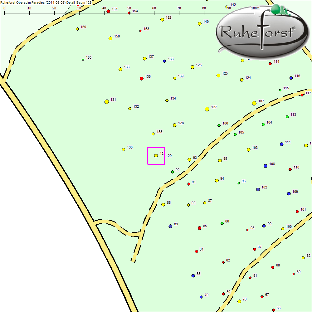 Detailkarte zu Baum 129