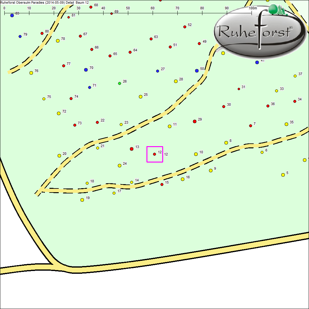 Detailkarte zu Baum 12