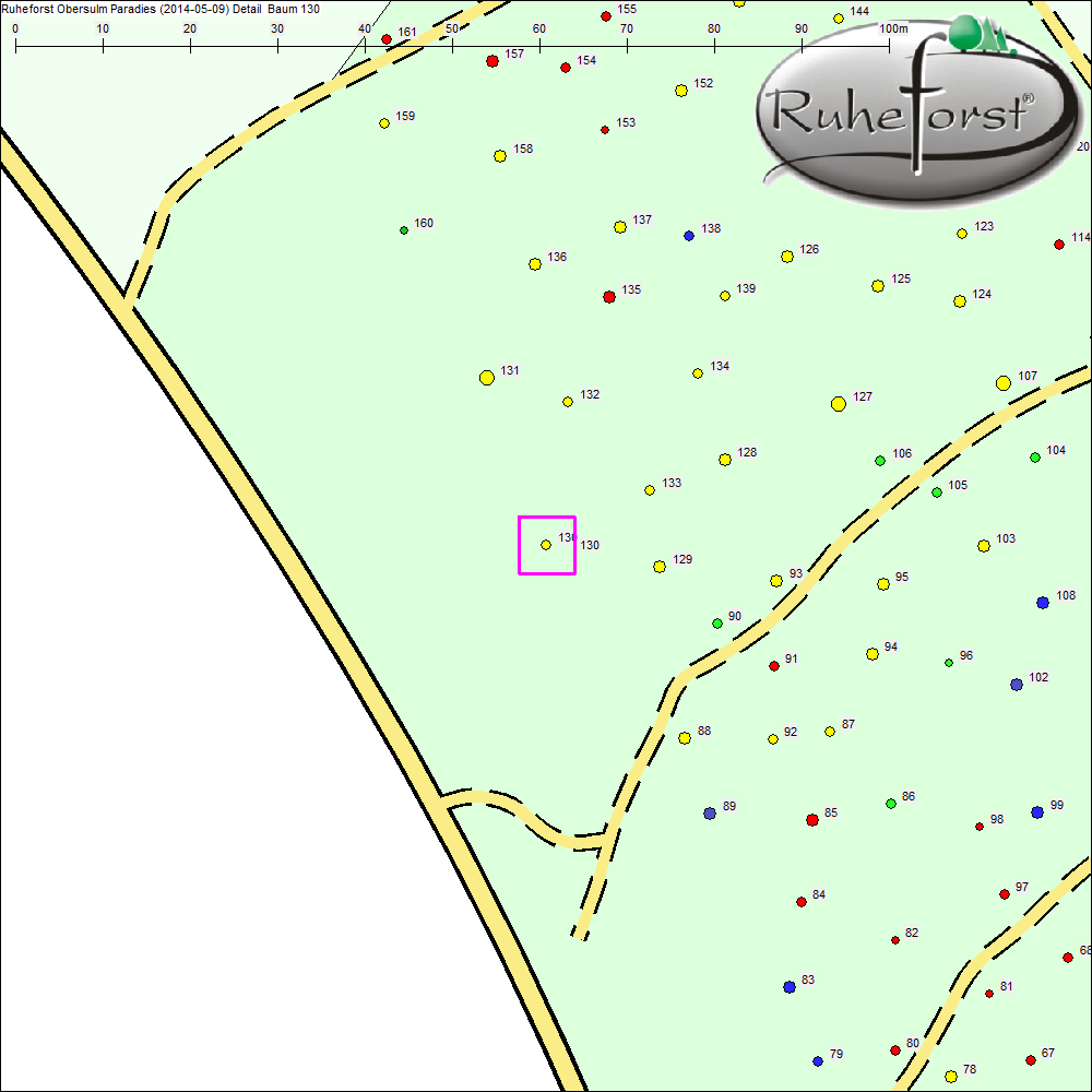 Detailkarte zu Baum 130