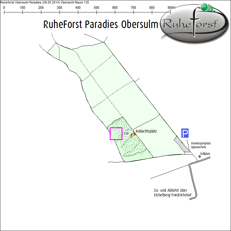&Uuml;bersichtskarte zu Baum 130