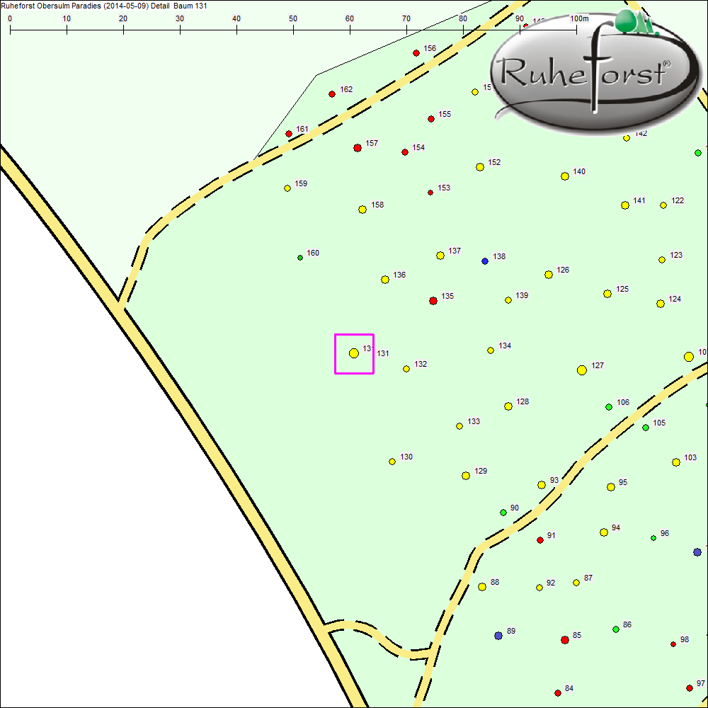 Detailkarte zu Baum 131
