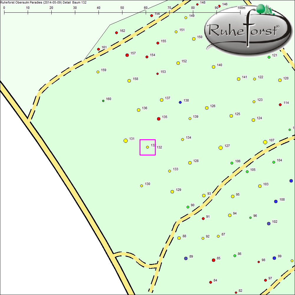 Detailkarte zu Baum 132
