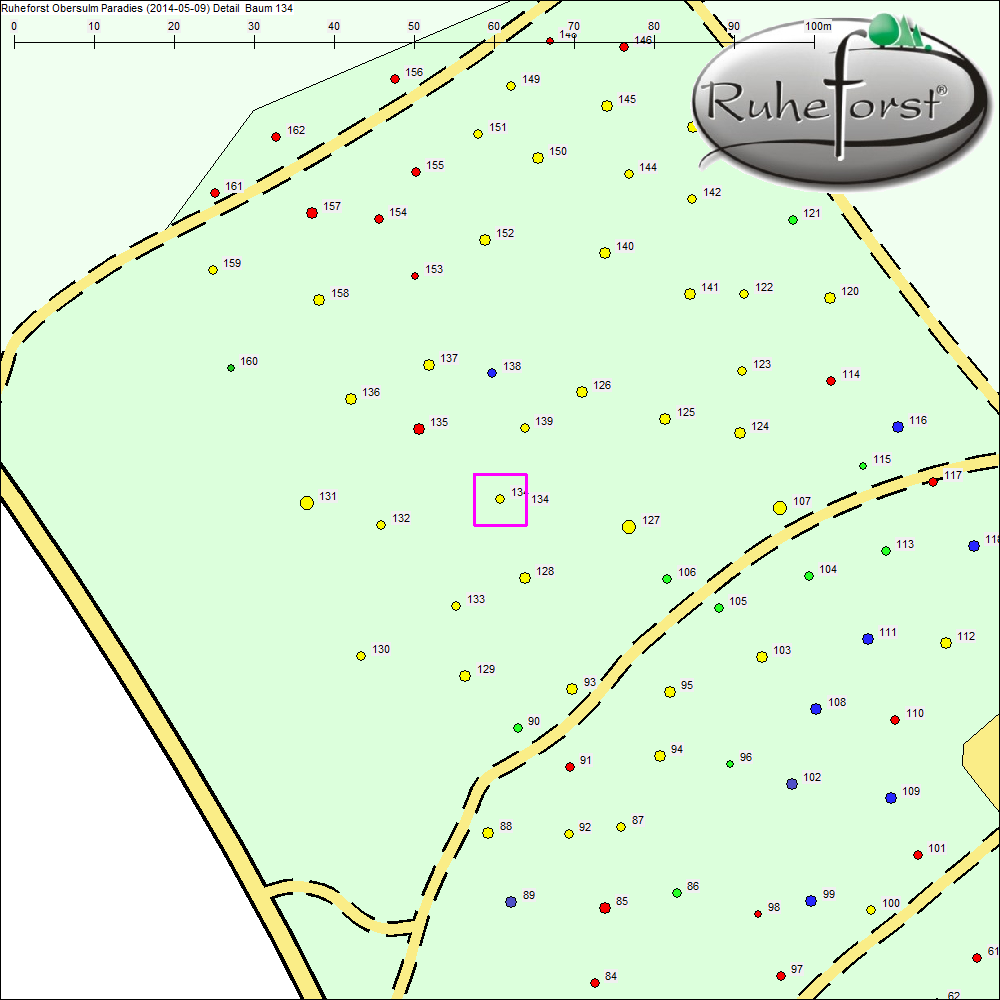 Detailkarte zu Baum 134