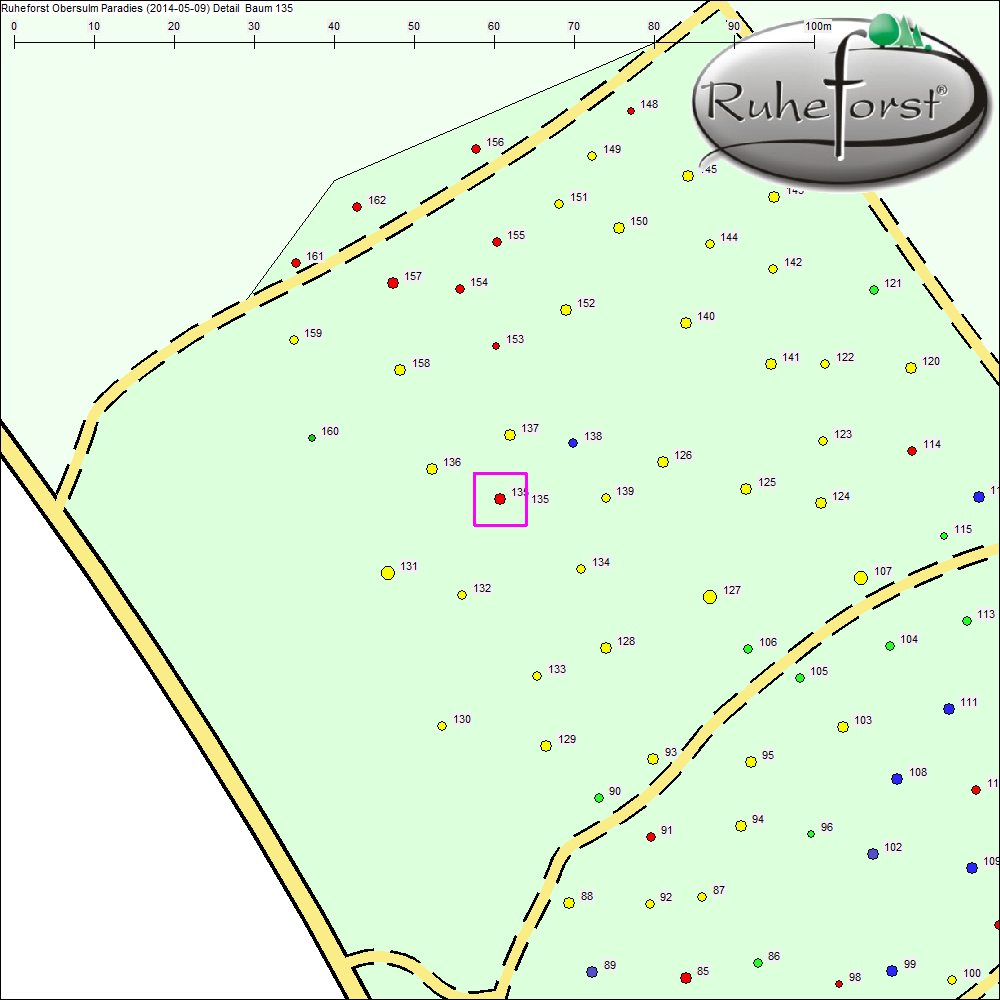 Detailkarte zu Baum 135