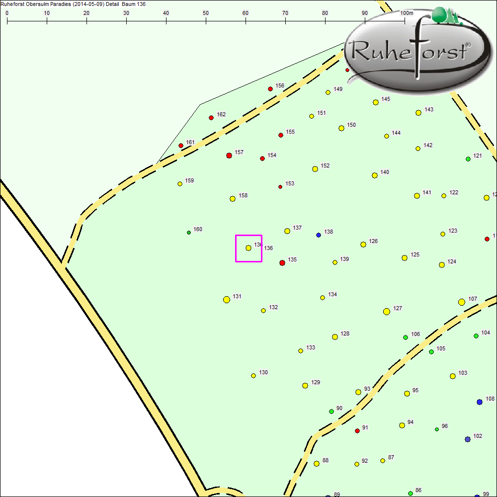 Detailkarte zu Baum 136