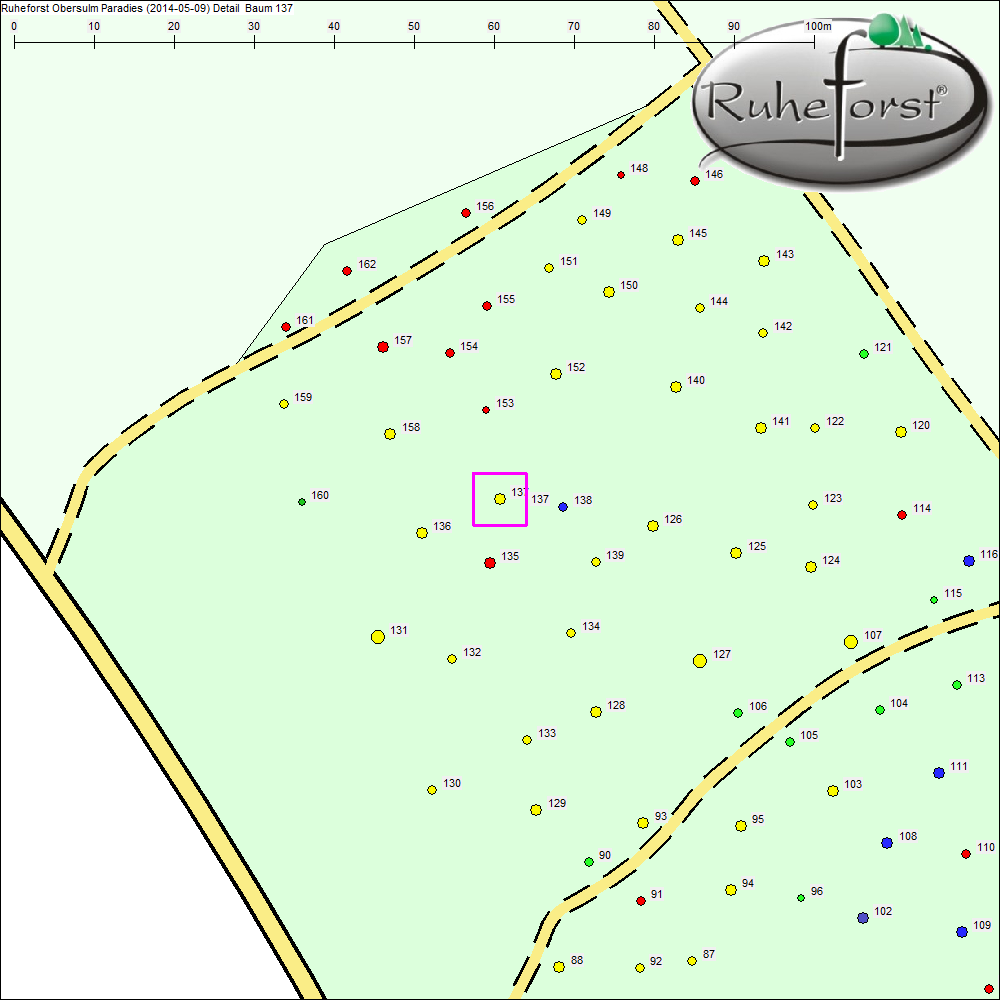 Detailkarte zu Baum 137