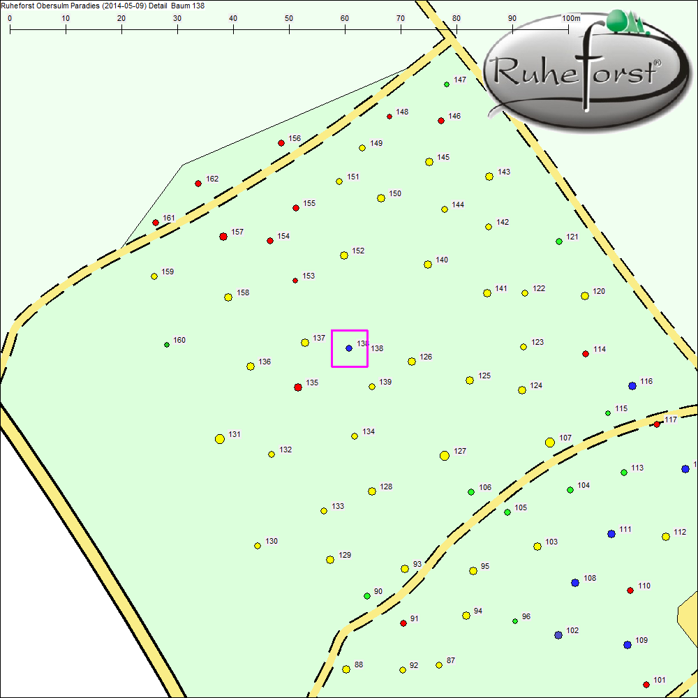 Detailkarte zu Baum 138