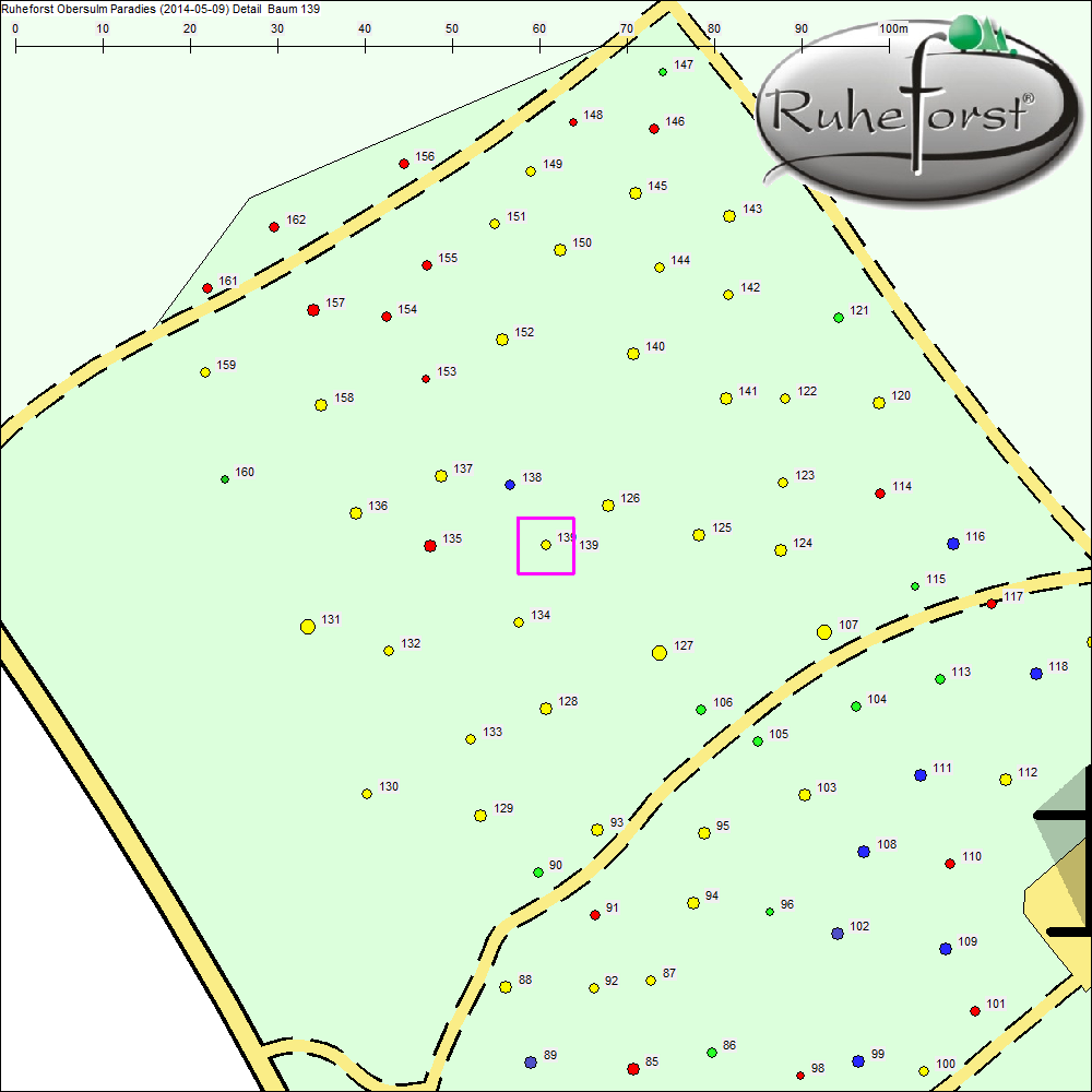 Detailkarte zu Baum 139