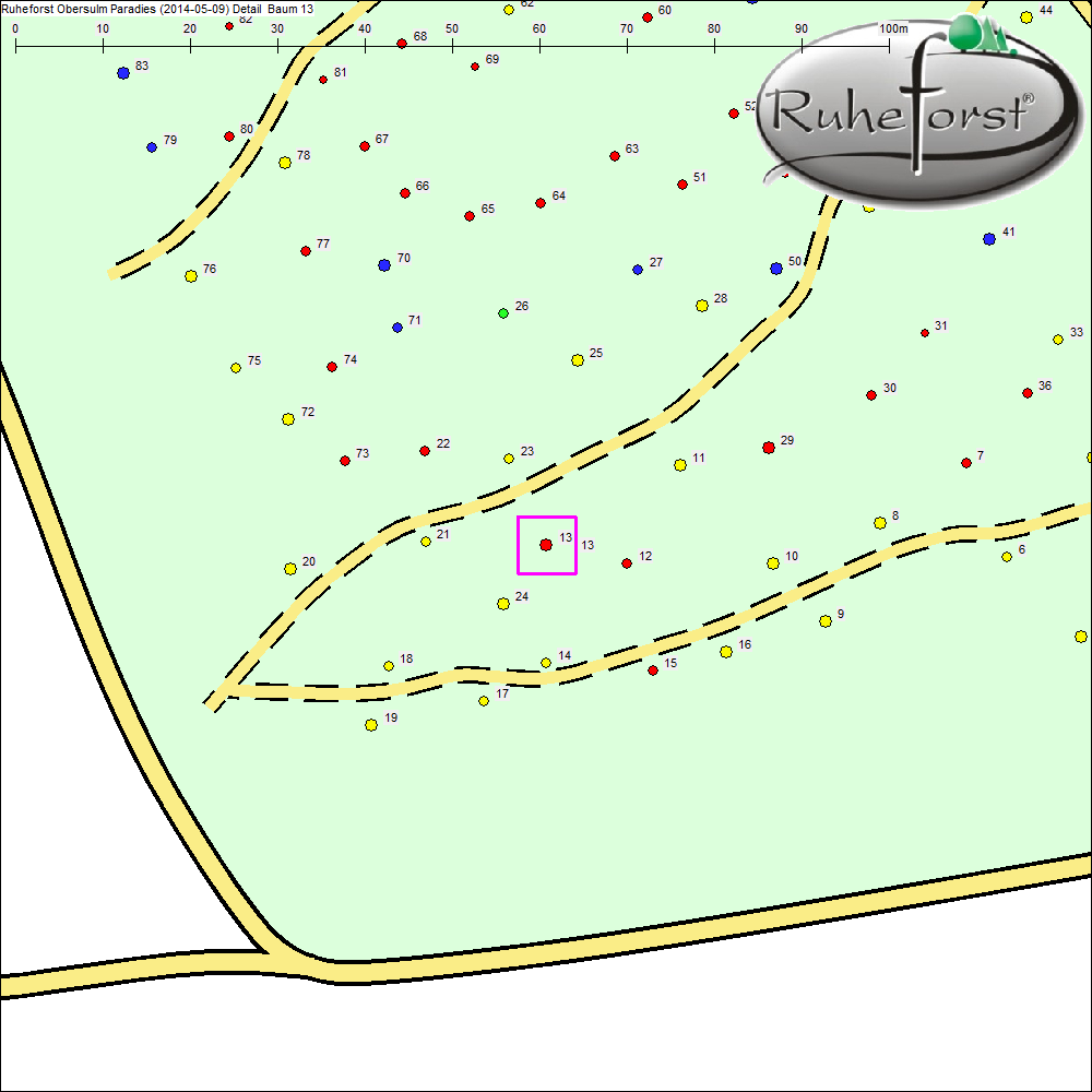 Detailkarte zu Baum 13