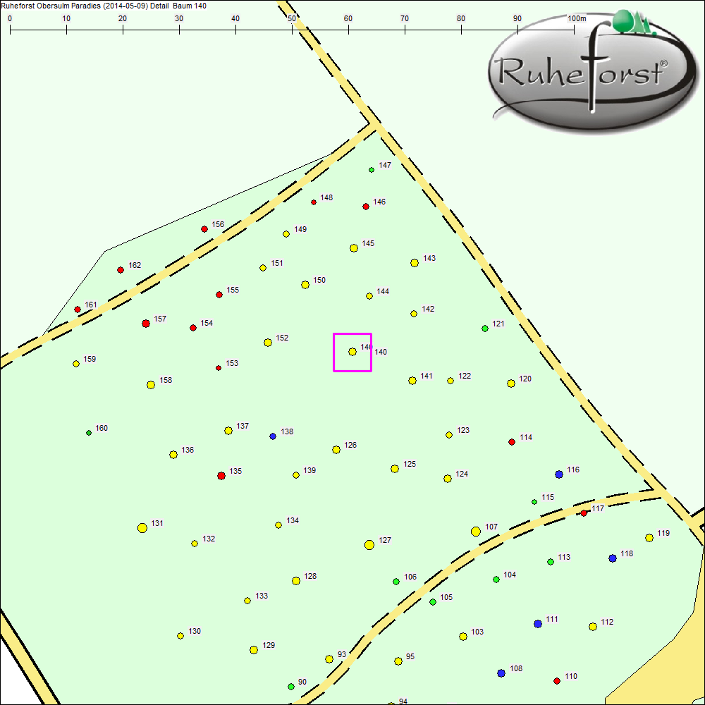 Detailkarte zu Baum 140