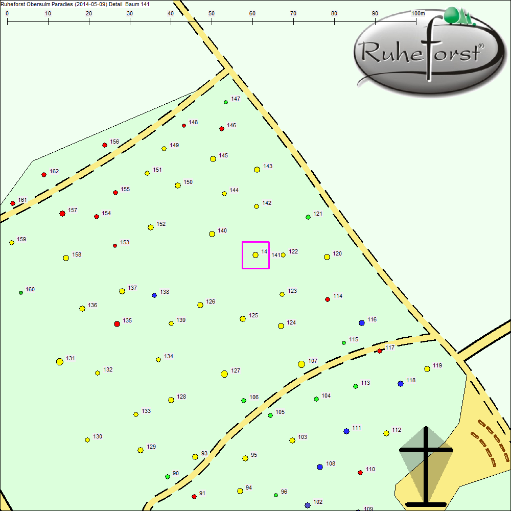 Detailkarte zu Baum 141