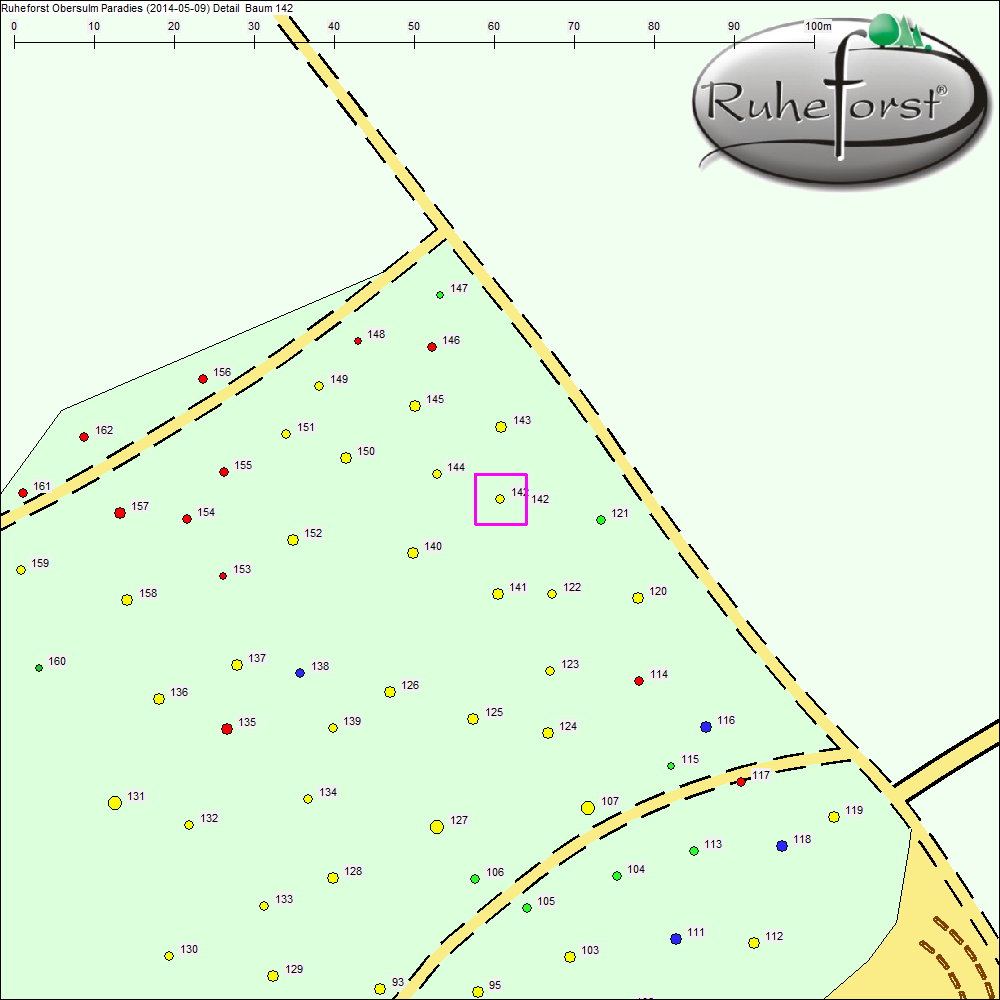 Detailkarte zu Baum 142