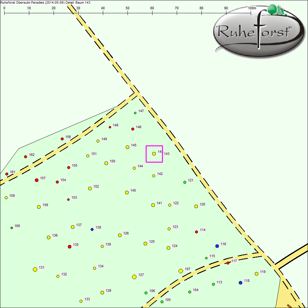 Detailkarte zu Baum 143