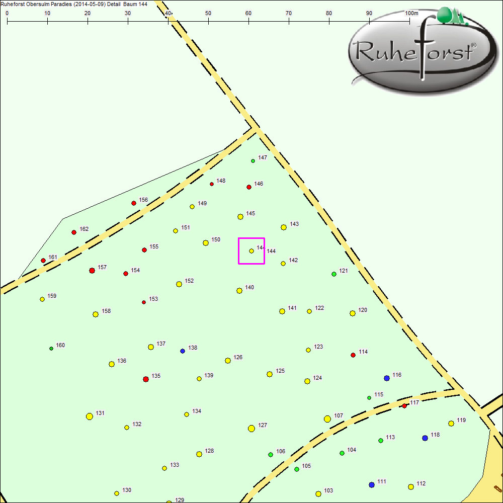 Detailkarte zu Baum 144