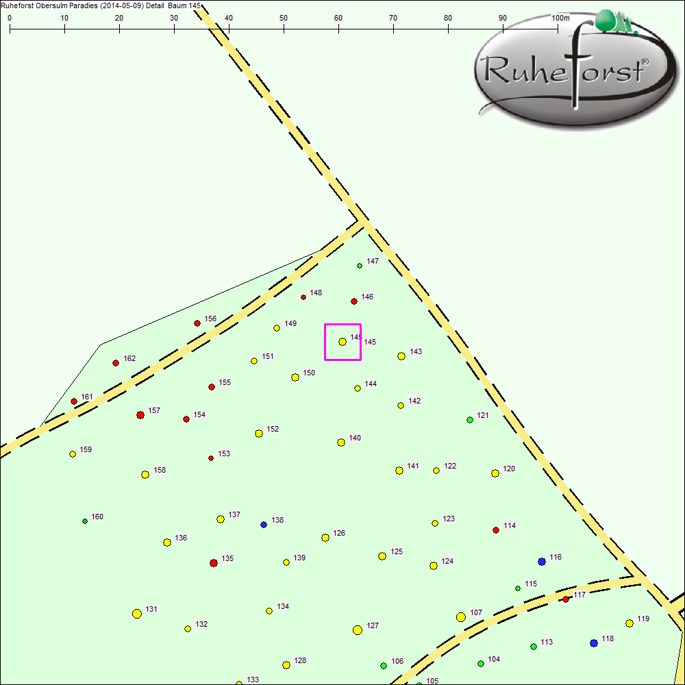 Detailkarte zu Baum 145