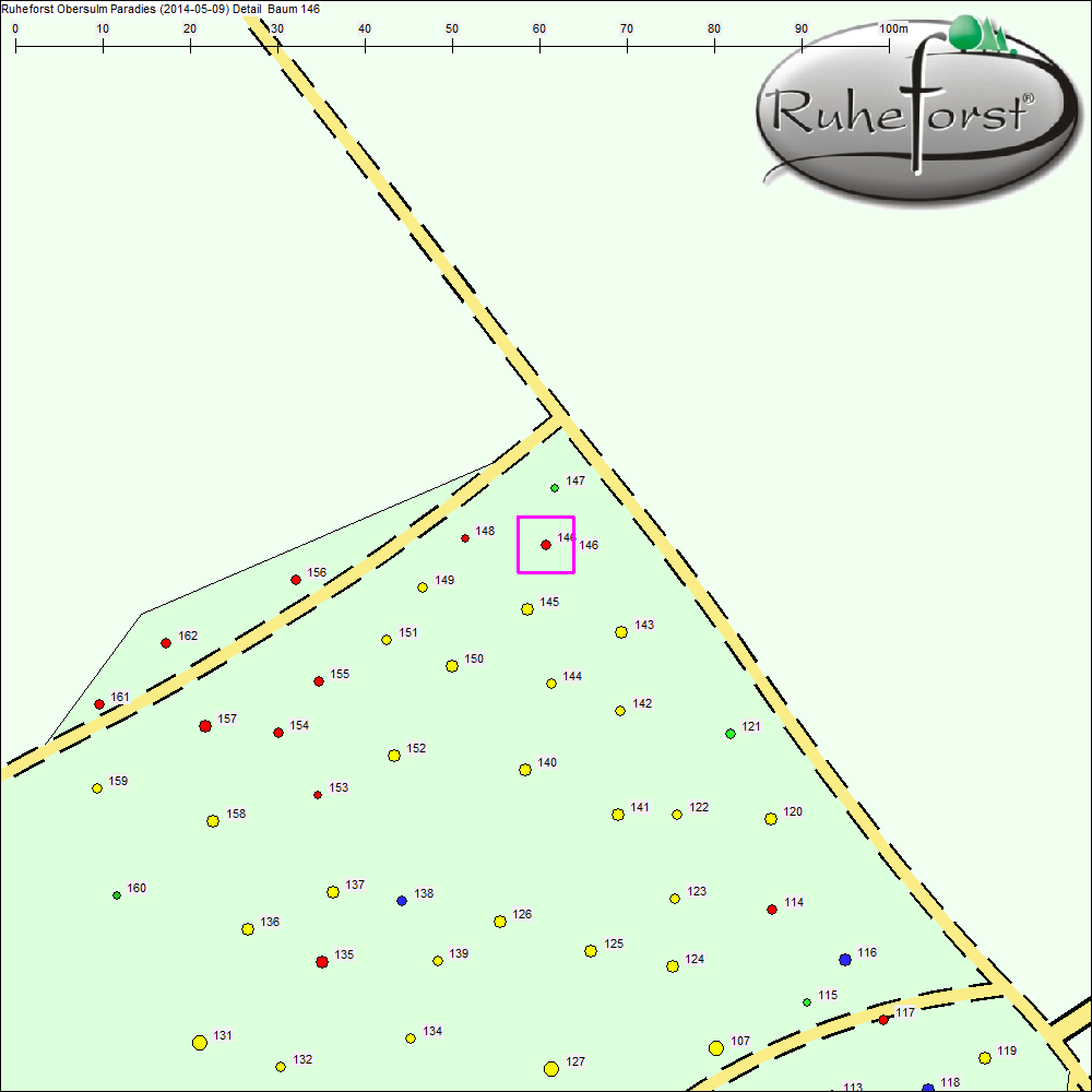 Detailkarte zu Baum 146