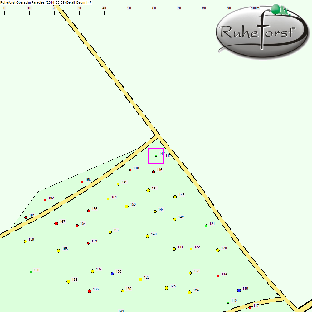 Detailkarte zu Baum 147