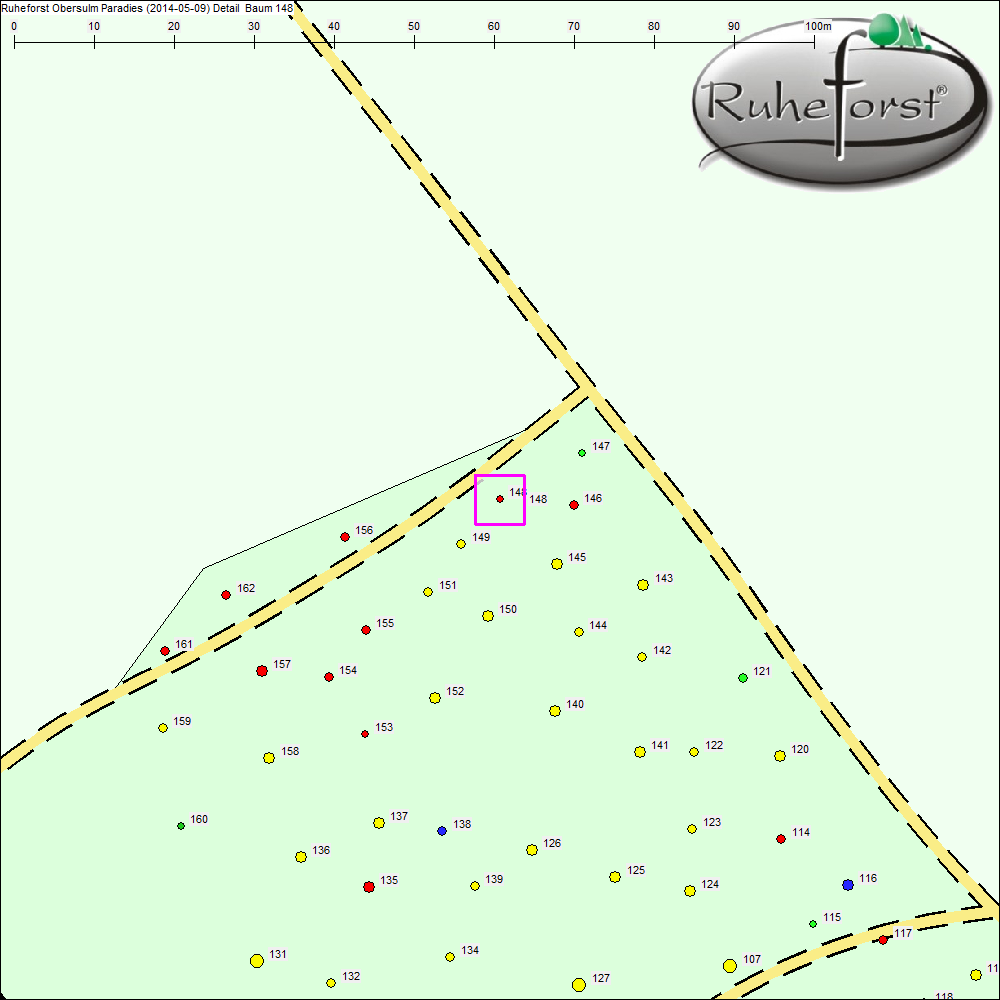 Detailkarte zu Baum 148