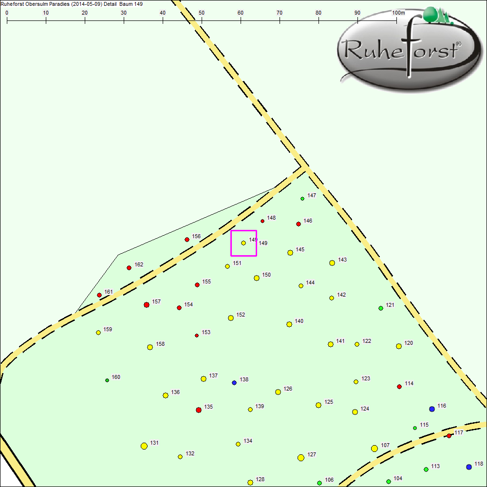Detailkarte zu Baum 149