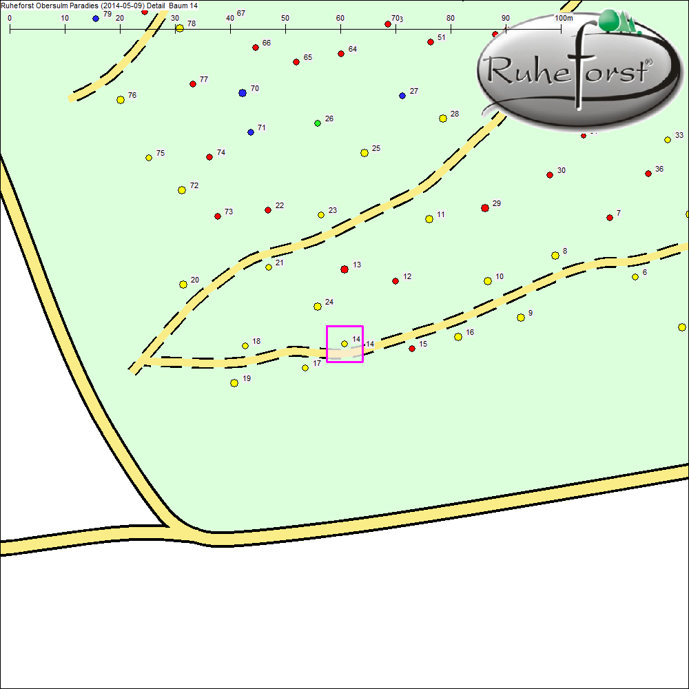 Detailkarte zu Baum 14